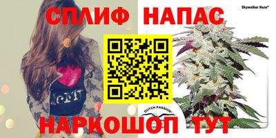шишки Тула