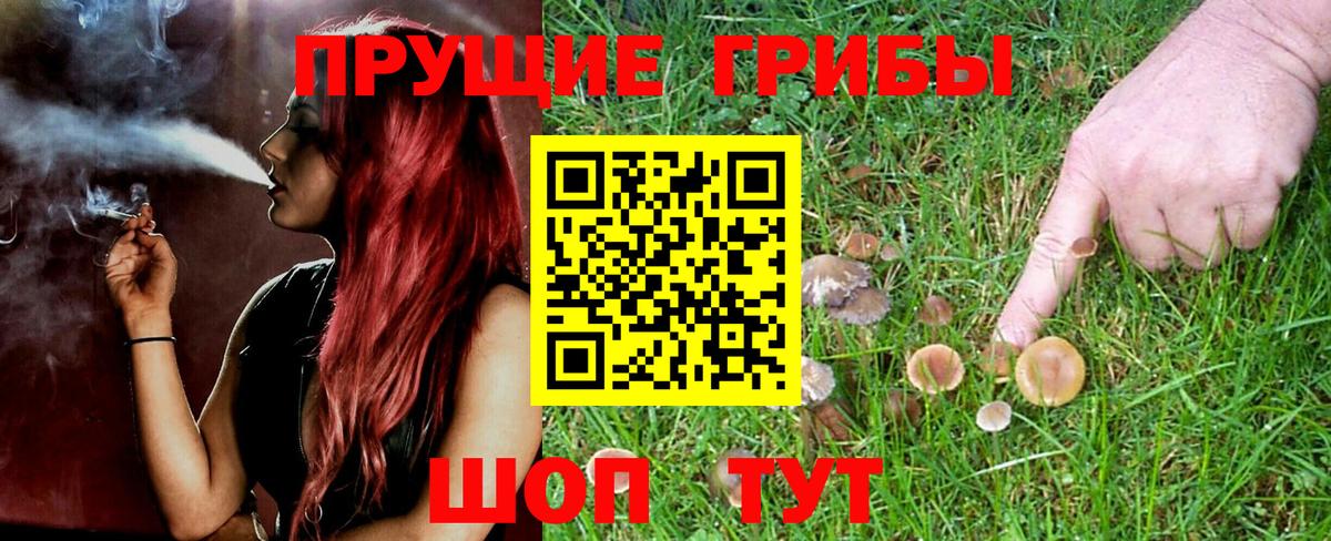 Галлюциногенные грибы GOLDEN TEACHER Майкоп