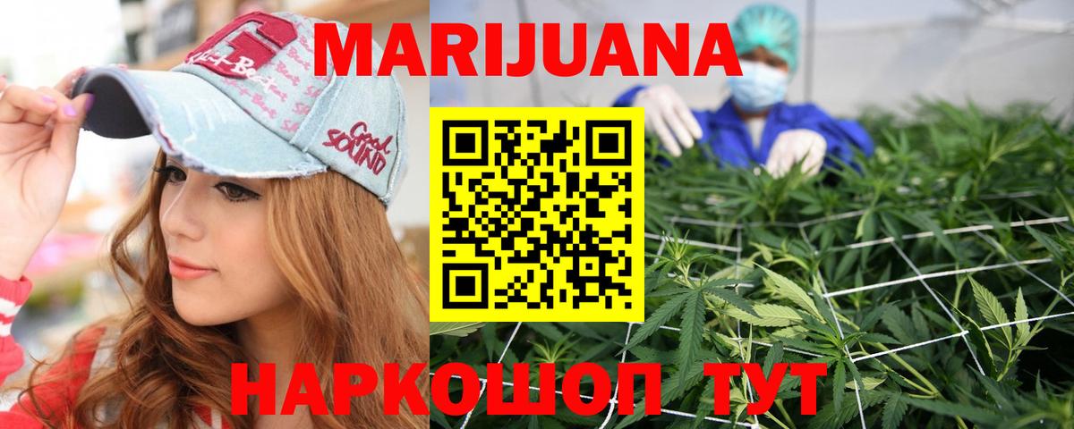 Канабис сатива Майкоп